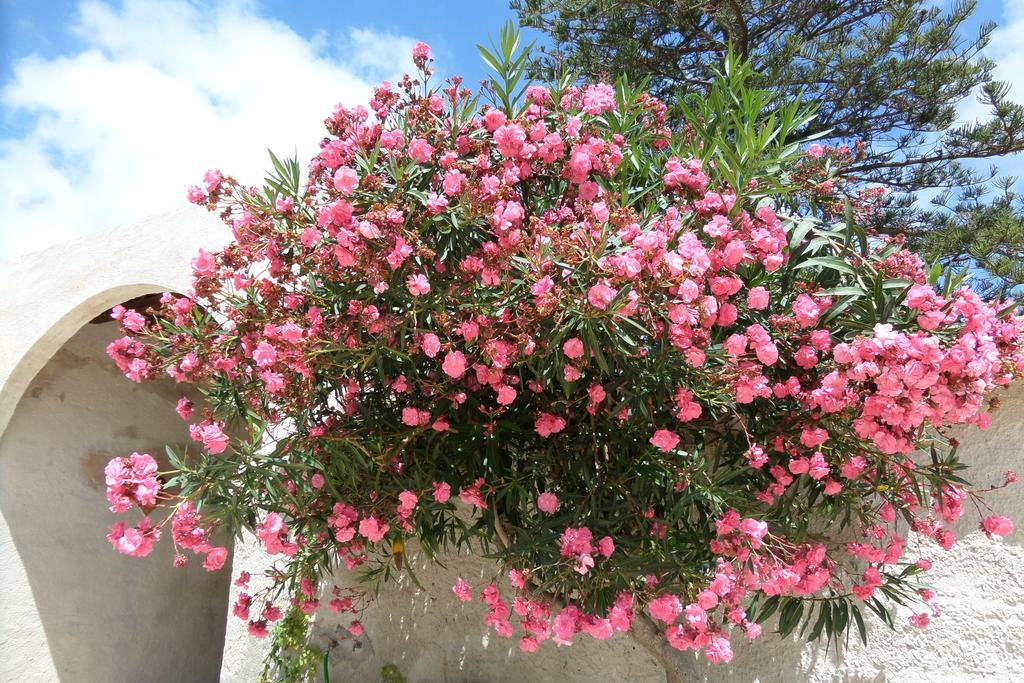 Baglio Bellavista Bed and Breakfast Torre Nubia Εξωτερικό φωτογραφία