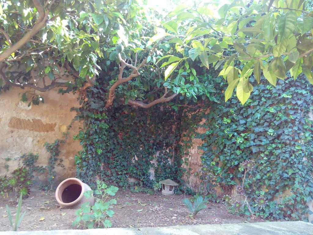 Baglio Bellavista Bed and Breakfast Torre Nubia Εξωτερικό φωτογραφία