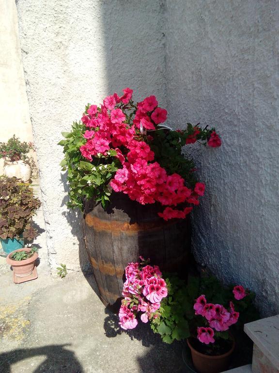Baglio Bellavista Bed and Breakfast Torre Nubia Εξωτερικό φωτογραφία
